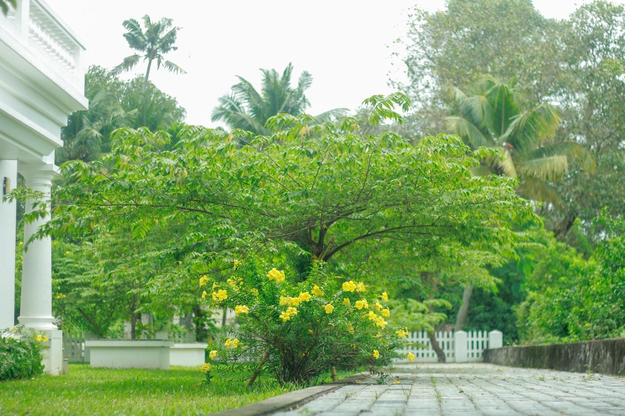 Muziris Harbour View Hotel Kochi Esterno foto